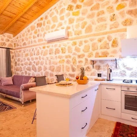 Lena كاس